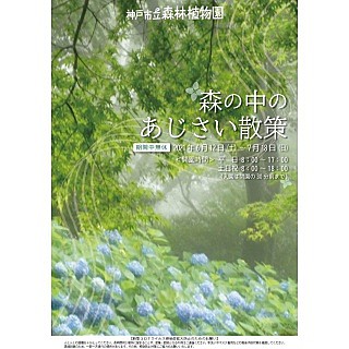 森の中のあじさい散策 神戸市立森林植物園 沿線イベント情報 阪急電鉄